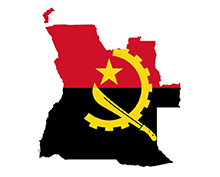 country-flag