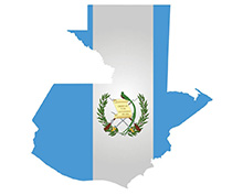 country-flag